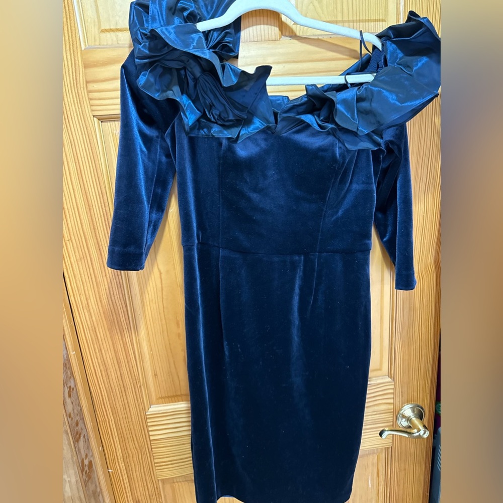 Teri Jon dress  velvet size 8